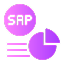 SAP Module Development